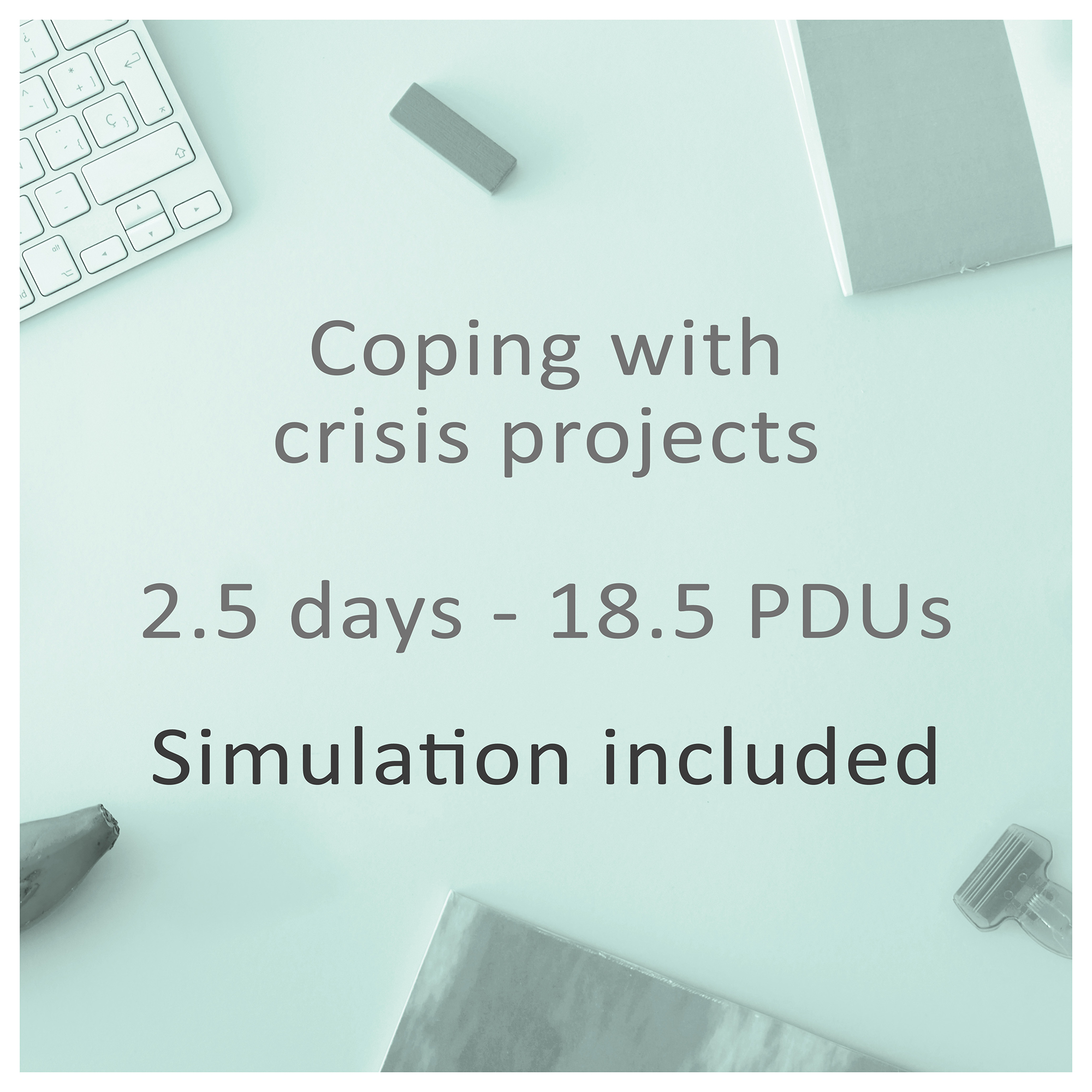 Coping with crisis projects