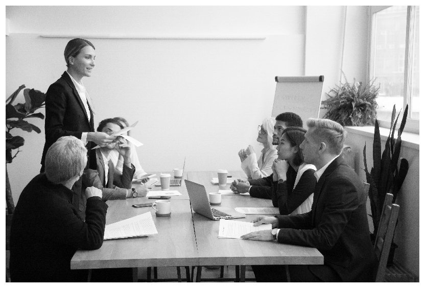 Project portfolio, program and project management